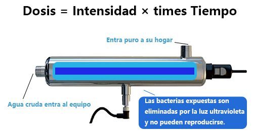 El factor clave: La Dosis UV