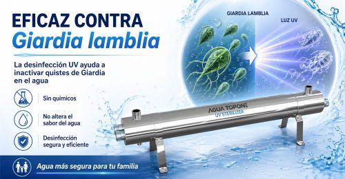 EFICAZ CONTRAGiardia lamblia