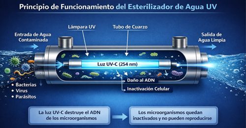Principio de Funcionamiento del Esterilizador de Agua UV