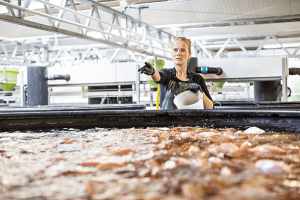 Agricultura y Acuicultura Agricultura y Acuicultura